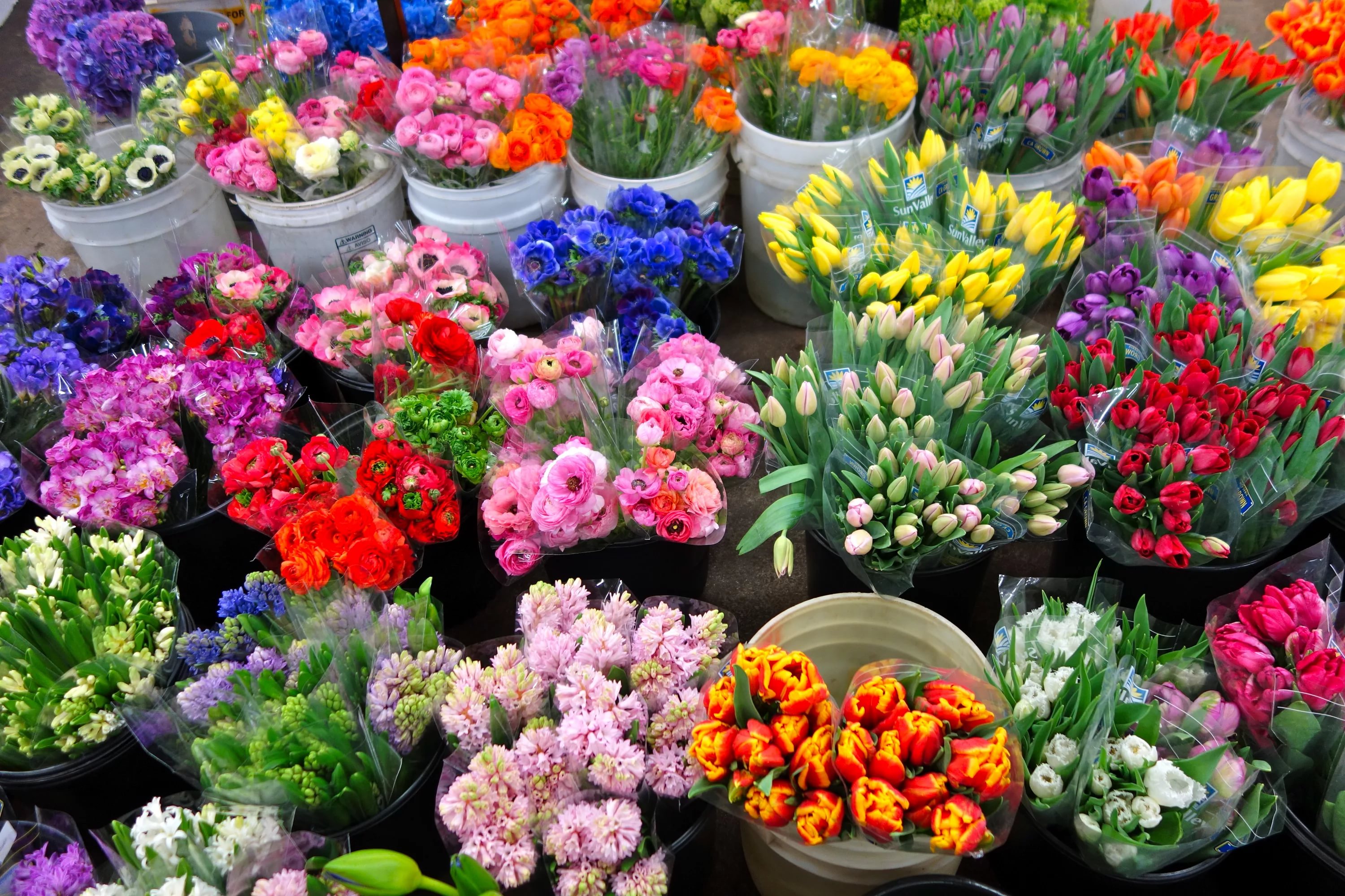 Где Можно Купить Хорошие Цветы